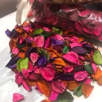 گل خشک|گل و گیاه طبیعی|تهران, استاد معین|دیوار