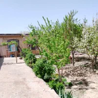 خانه ویلایی|فروش خانه و ویلا|گلبهار, نوبهار|دیوار