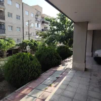 عرشیا کلید نخورده جنوبی