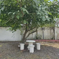 فروش باغ ویلای سند تک برگ نزدیک رشت و فومن|فروش خانه و ویلا|رشت, رشتیان|دیوار