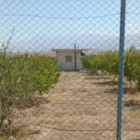 فروش ویژه باغ میوه در منطقه آزاد جلفا دشت گلفرج|فروش خانه و ویلا|جلفا, |دیوار