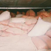 کاه گندم حدودان ۴۰ تن|عمدهفروشی|کبودرآهنگ, |دیوار