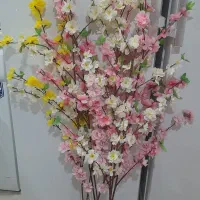 گلهای شکوفه ای فقط شاخه ای ۵۰ هزار حراج کردم