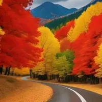 راهنمای روابط زوج ها