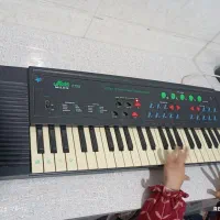 ارگ سالم برقی