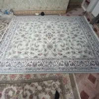 قالی ۷۰۰شانه ۲۵۵۰تراکم