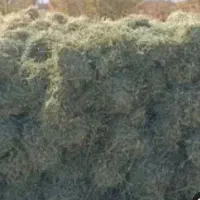 بیده دست پیچ