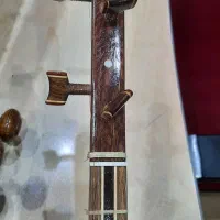 سه تار شیخ کاسه گردو|سازهای سنتی|شیراز, ارم|دیوار