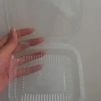 ظروف یکبار مصرف