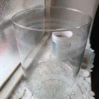 تنگ استوانه ای غذا ماهی گوپی غذا گیاه خوار|ماهی|تهران, علیآباد|دیوار