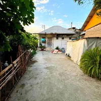 این-خونه-بوی-زندگی-میده-سندتک-برگ-عرصه-و-عیان