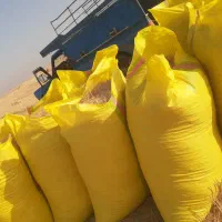 پخش کاه گندموکاه جو دیم سفید نرم ریز.پیک رایگان|حیوانات مزرعه|مسجد سلیمان, |دیوار