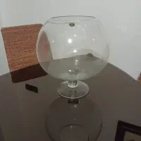 تنگ بزرگ ضخیم