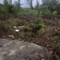 500مترسند-تک-برگ-کامل-مسکونی