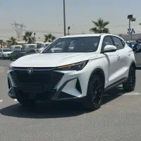 چانگان کف گمرک