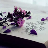 آموزش دروس اول دوم سوم ابتدایی