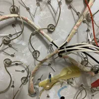 لوستر|لوستر و چراغ آویز|قرچک, زیبا شهر|دیوار