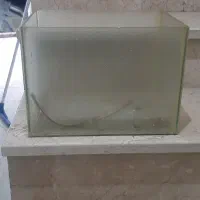 آکواریوم|ماهی|کامیاران, |دیوار