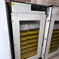 نمایندگی فروش دستگاه جوجه کشی هدایت|لوازم جانبی حیوانات|برازجان, |دیوار