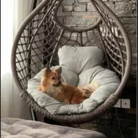 تاب ریلکسی|مبلمان خانگی و میز عسلی|همدان, |دیوار