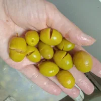 زیتون شکسته طارم