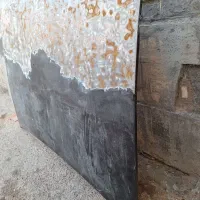 کاپوت زانتیا