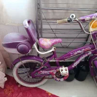 دوچرخه دخترانه|دوچرخه، اسکیت، اسکوتر|محمدشهر, محمدشهر|دیوار