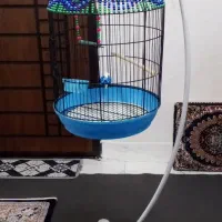 فروش قفس پرنده