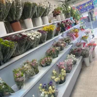 نیروی ساده اقا جهت کار در گل فروشی ۱۵ ال۲۰میلیون