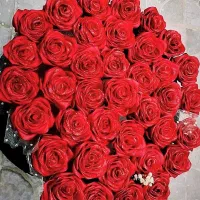 بلک فرایدی گل مصنوعی (۱۱تومان)|گل مصنوعی|قم, نیروگاه|دیوار