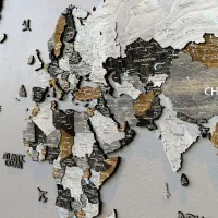 نیروی کار خانم