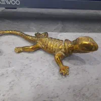 مارمولک برنزی