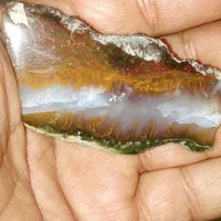 سنگ شجر منظره