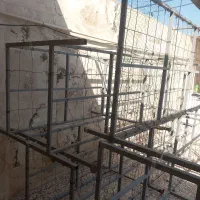قفسه قارچ