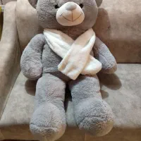 یک خرس پشمالو زیبا