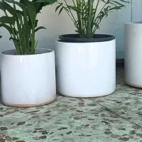 حواله دنا پلاس