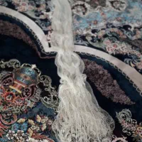 تور ماهیگیری (سالیک)