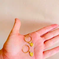 گوشواردرحدنو