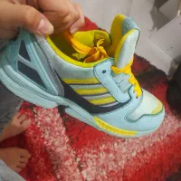 زد ایکس استوک|کیف، کفش، کمربند|کرج, گلدشت|دیوار