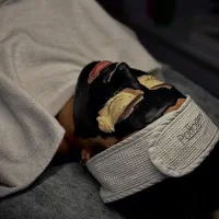 فشیال با تخفیف ۵۰ درصدی