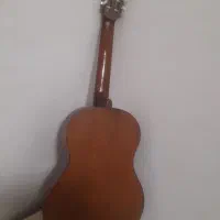 گیتار رویال|گیتار، بیس، امپلیفایر|چوبر, |دیوار