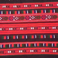 زیاستین تارکش