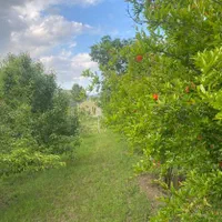 ویلا باغ استخردار‌کلیبر|اجارهٔ کوتاه‌مدت ویلا و باغ|کلیبر, |دیوار