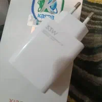 شارژر اصلی شیامی ۳۳ وات تو کارتنی
