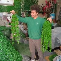 آویز شمشاد اصلی