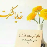 دوچرخه پیدا شده