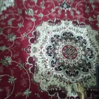 فرش ۱۲ متری|فرش|قم, شهر قائم|دیوار