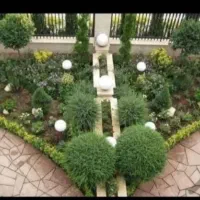 درخت کاری باغبانی گل گیاه تهران تخصص در گیاهان|خدمات باغبانی و درختکاری|تهران, بلوار کشاورز|دیوار