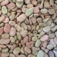 باقله|عمده‌فروشی|دره شهر, |دیوار
