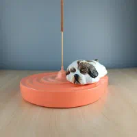 جاعودی فانتـزی طرح سگ شیتزو|صنایع دستی و سایر لوازم تزئینی|قزوین, |دیوار